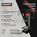 Сверлильный станок GIGANT DP813